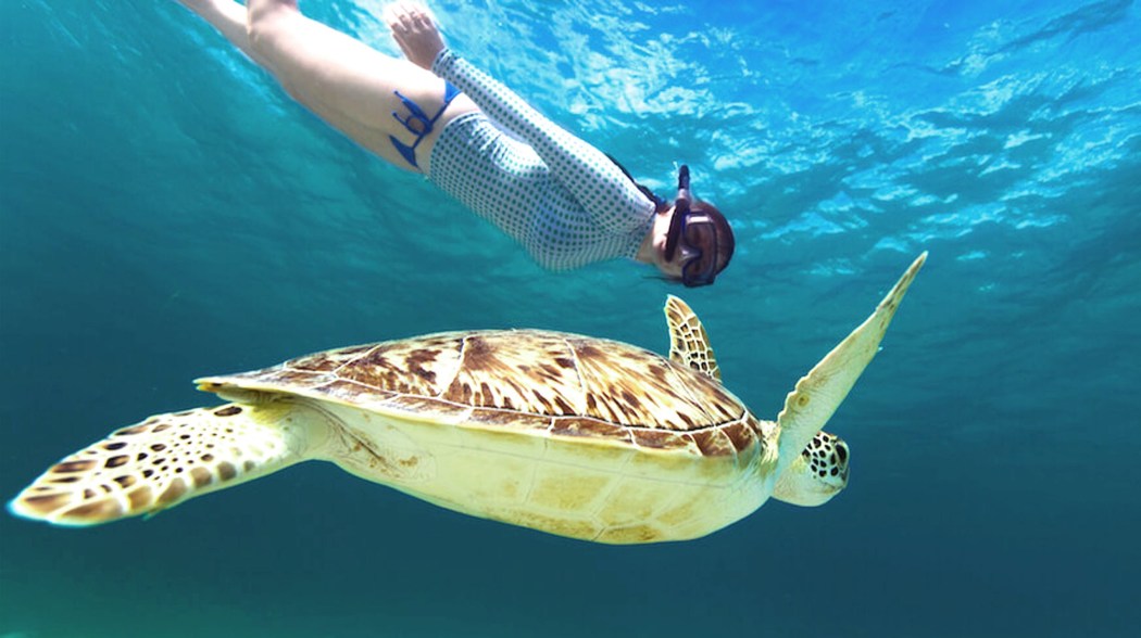 eco-tourism