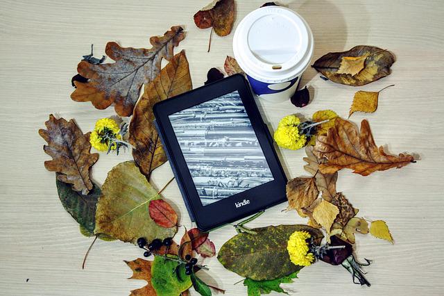 desventajas de un kindle