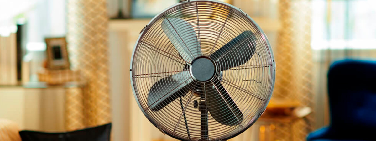 Cómo elegir el mejor ventilador para tu casa